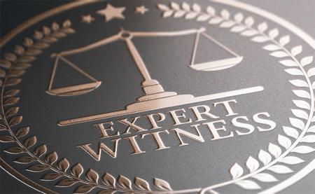 Security Company Expert Witness